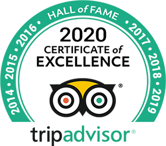 2020 Tripadvisor 7 years of fab reviews for Percy Tours, Hermanus, South Africa