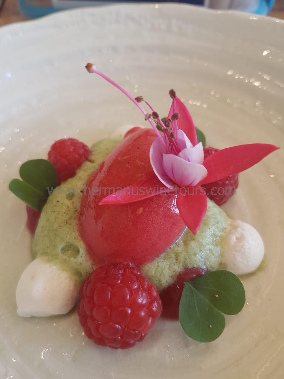 Raspberry and mint sorbet, Hermanus restaurant, South Africa