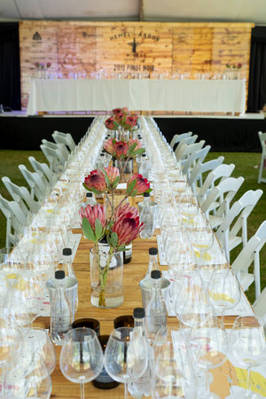 Tasting Table at Pinot Noir Celebration, Hermanus, Hemel en Aarde, near Cape Town, South Africa