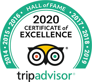 2020 Tripadvisor Certificate of Excellence for Percy Tours, Hermanus, South Africa