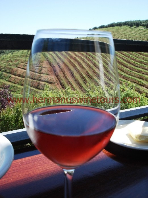 Red wine and great scenery at local Winery, Hermanus, Stellenbosch, Cape Town, South Africa