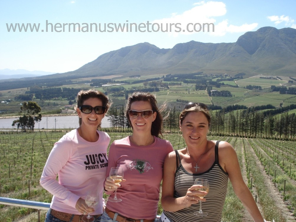 Amazing Wines to be sampled on a Hermanus Wine Tour with Percy Tours, near Cape Town, South Africa