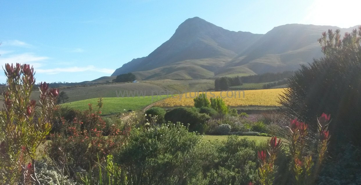 Creation winery in the Hemel-en-Aarde wine valley of Hermanus, South Africa