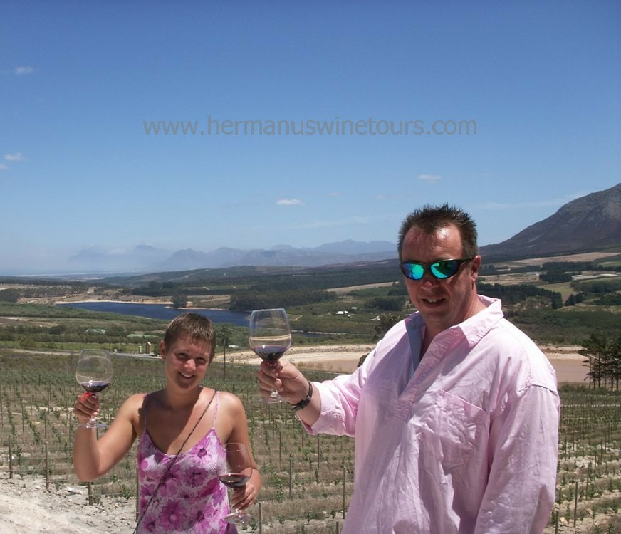 Wineries in Hermanus, Stanford, Botrivers, Elgin winelands, Cape Town, South Africa