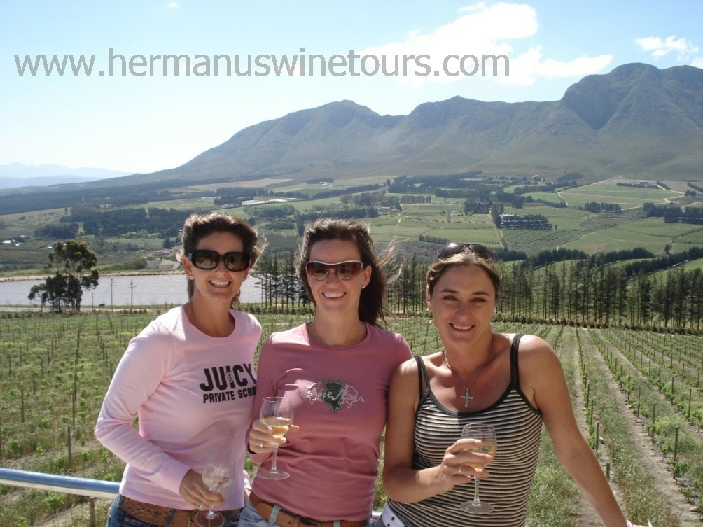 Amazing Wines to be sampled on a Hermanus Wine Tour