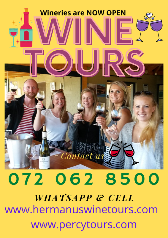 Wine Tours of Hermanus wine region are OPEN, near Cape Town, South Africa