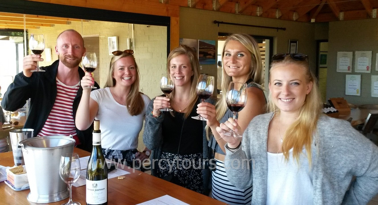 Happy tourists on a Wine Tour of Hermanus, with over 120 awarding wines to sample, near Cape Town, South Africa